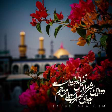 دود این شهر مرا از نفس انداخته است