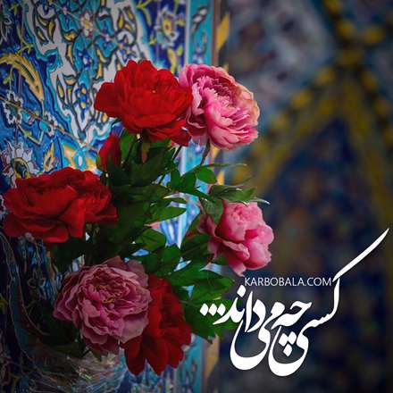 کسی چه می داند...