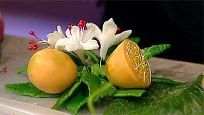 مگنت پرتقال