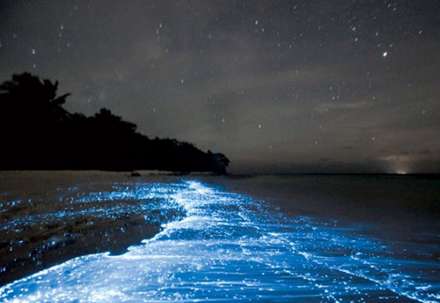 ستاره‌های شب مالدیو به جای آسمان در آب هستند