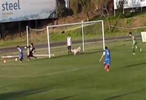 وقتی یک سگ ناجی دروازه می‌شود!