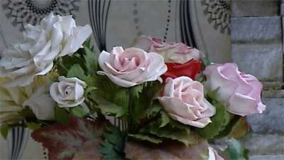 گل رز بلندر