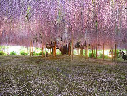 تصاويری از زیباترین مناظر طبیعی جهان