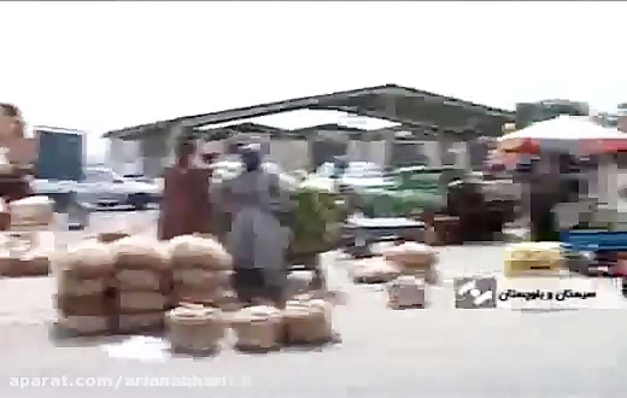 درخت چیکو جدیدترین میوه ایرانی, سرشار از ویتامینها