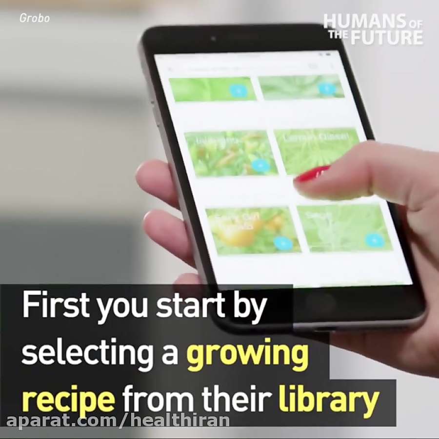 پرورش میوه و سبزیجات در خانه