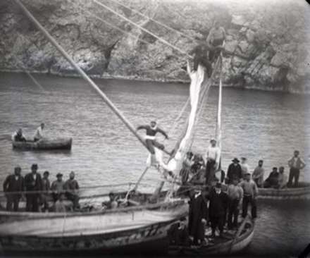 کشف اسکت دو هزار ساله انسان در دریا
