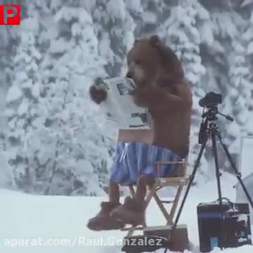 حمله خونین خرس قطبی به چند مستندساز