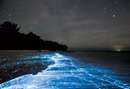 ستاره‌های شب مالدیو به جای آسمان در آب هستند