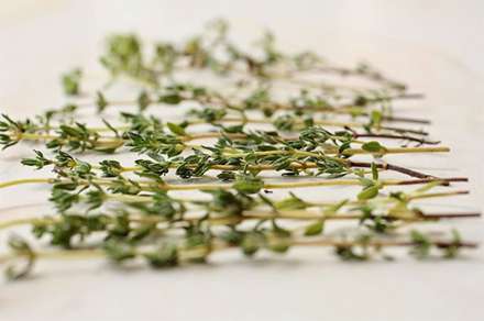 عکاسی موبایل از غذا، با چشمانت میل کن!