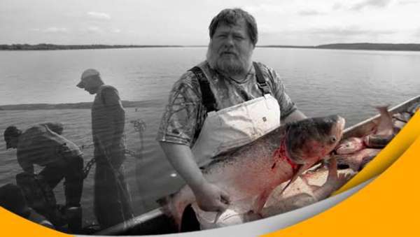 به دام افتاده - 3