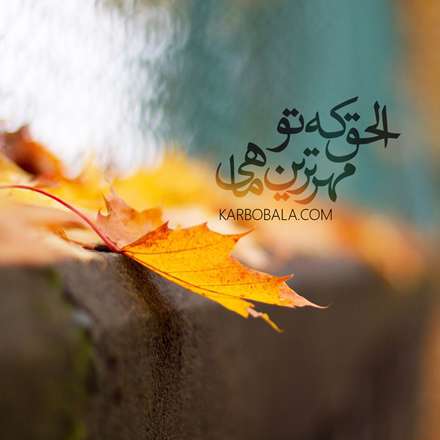 الحق که تو مهرترین ماهی
