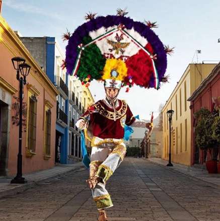 سرخ‌پوستان مکزیک,مخالفان تکنولوژی