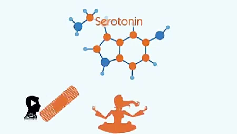 محبت با بدن ما چه میكند؟