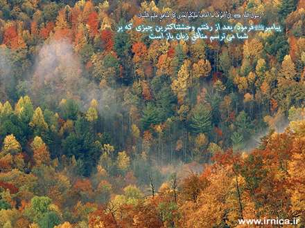 حدیثی از رسول اکرم