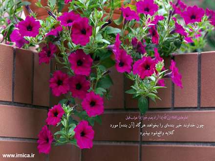 حدیثی از امام هادی (ع)