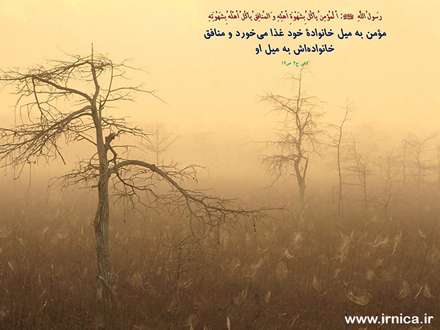 حدیثی از رسول اکرم