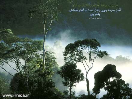 حدیثی از امیرالمومنین
