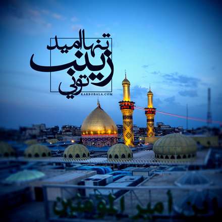 تنها امید زینب تویی