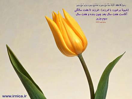 حدیثی از رسول اکرم