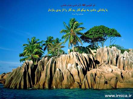 حدیثی از امیرالمومنین علی (ع)