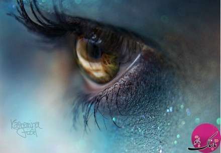 تصاویر باورنکردنی موجودات از نمای نزدیک