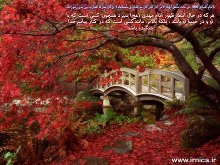حدیثی از امام صادق