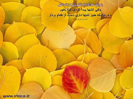 حدیثی از رسول اکرم