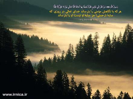 حدیثی از رسول اکرم