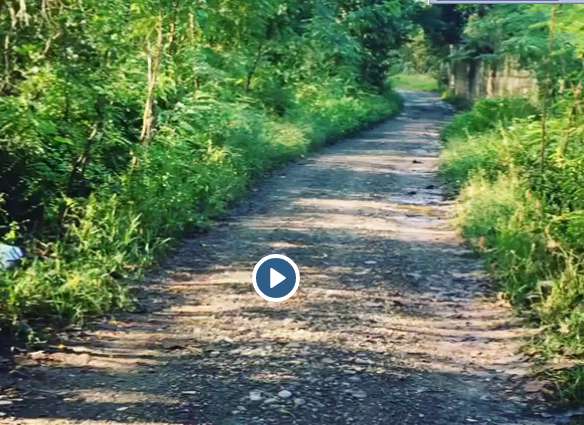 «فلور نظری» طبیعت زیبای گیلان را در اینستاگرامش به اشتراک گذاشته است