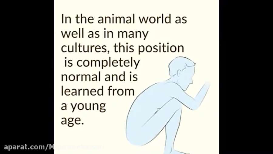 فیلم _ نحوه صحیح نشستن در توالت فرنگی