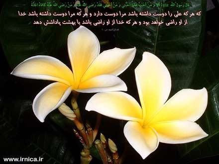 حدیثی از رسول اکرم