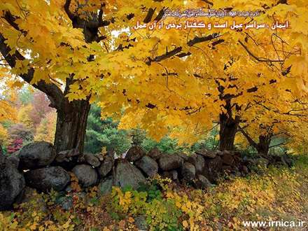 حدیثی از امام صادق