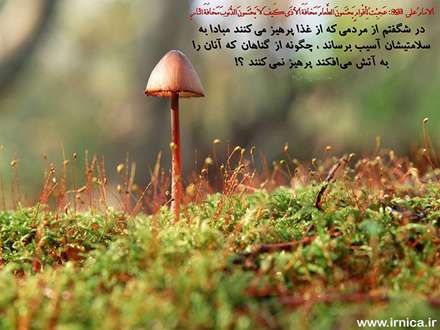 حدیثی از امام علی