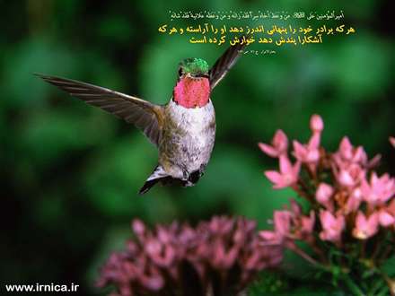 حدیثی از امیرالمومنین علی (ع)