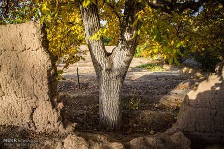 طبیعت پاییزی