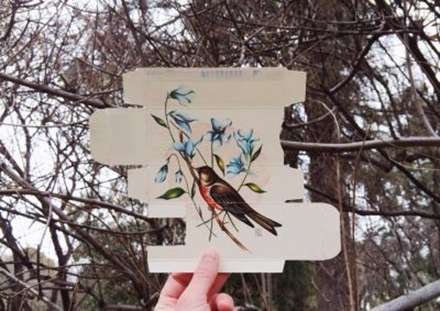 نقاشی پرندگان دربسته دارویی جدید