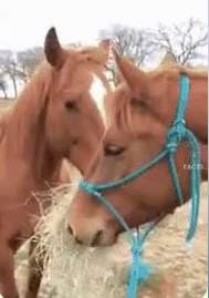 عشق به عبارتی دیگر...