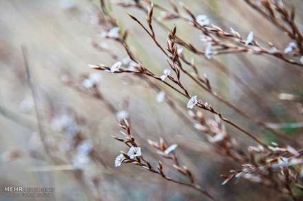 طبیعت پاییزی