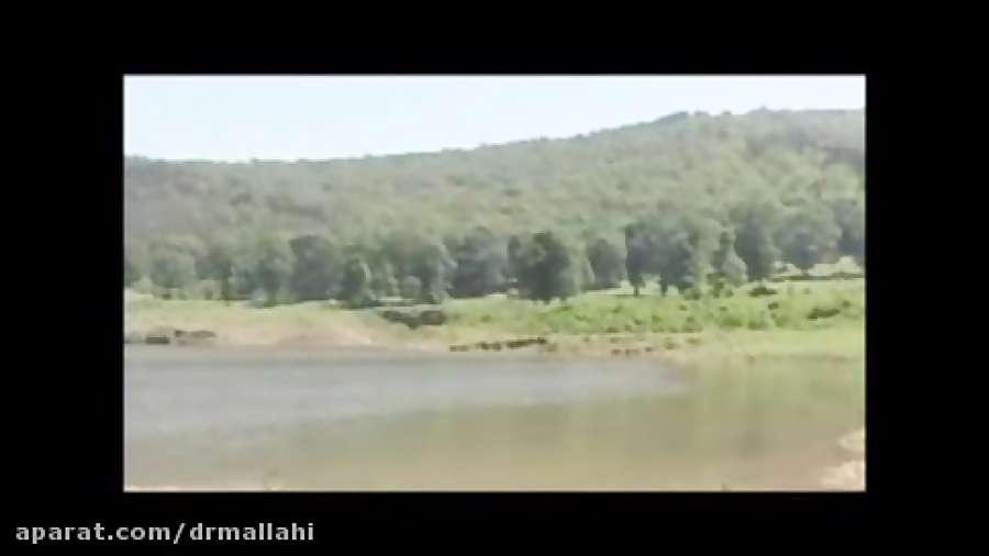 خواص اوکالیپتوس - دکتر ملاحی