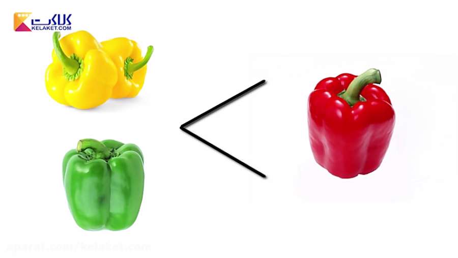 خواص مواد؛ &quot;فلفل دلمه ای&quot;