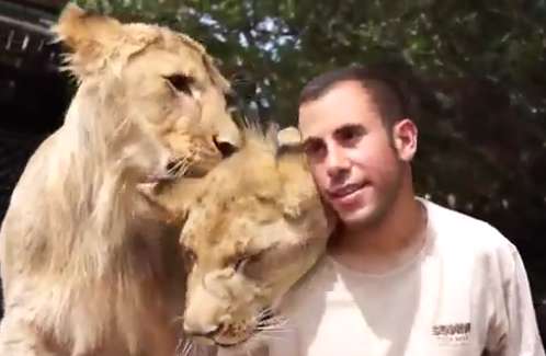 انسان و حیوان