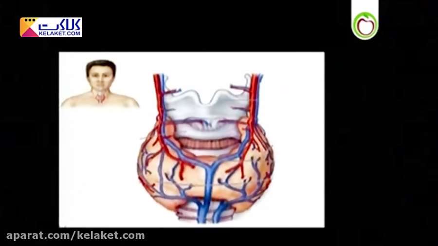 شرح کاملی از اختلالات تیروئید