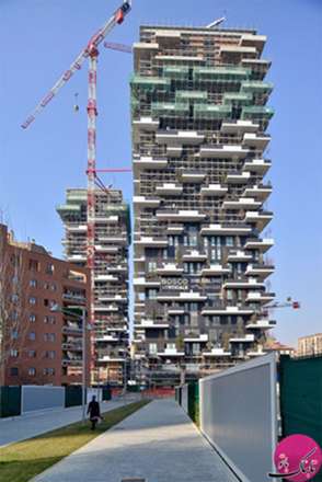 جنگل های شگفت انگیز عمودی در وسط شهر