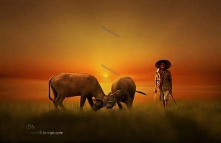 طبیعت زیبای اندونزی در قاب دوربین عکاسان