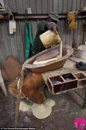 تصاویر خشک کردن حیوانات در نامیب