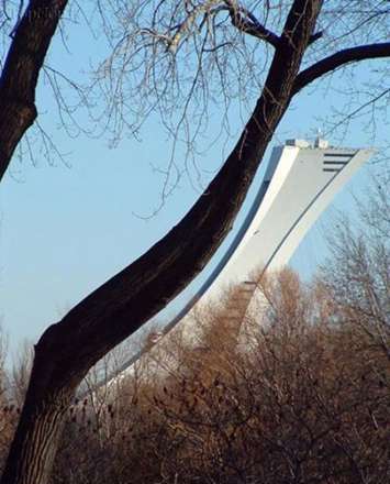 معماری های باورنکردنی