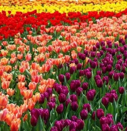 عکس های پرنشاط و رنگارنگ