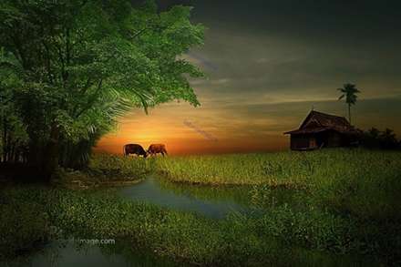 طبیعت زیبای اندونزی در قاب دوربین عکاسان