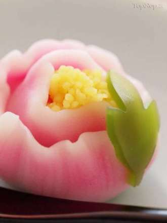 شیرینی های ژاپنی چشم نواز و خوشمزه