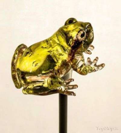 شیرینی های ژاپنی چشم نواز و خوشمزه